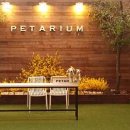 펫타리움 청담점 이미지