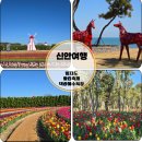 신안축구장 축구장 | 신안 가볼만한 곳 임자도 튤립축제 대광해수욕장 추천 여행지