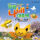 함평나비대축제 이미지