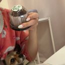 [제품리뷰]두쫀쿠맛집✨ 뜨랑블랑 두바이쫀득쿠키 디저트 고급진 쿠키 후기,가격,정보