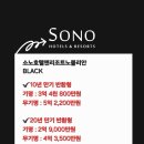 비고리조트 12 이미지