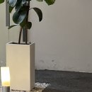 냉천골 할매집 | 속리산 국립공원 산악회에서 소문난 스틱 챙겨간 후기