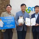 메사 이미지