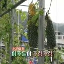 반송경로당 이미지