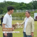 경산의 삽살개육종연구소 이미지