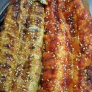 바다&장어 이미지