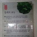 고향삼계탕 이미지