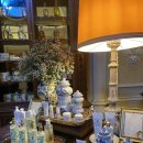 분수광장약국 이미지