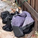 덕수목장 | 제주5일차코스｜서귀포 중문 근처 가볼만한 곳 중문 햄버거맛집 불턱버거 송악산 근처 유럽감성카페...