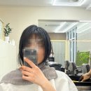 드라이존 | 강남 젤리펌 미용실 라인.에이치 후기 7가지 (거지존 단발병 막은 리얼 변화)