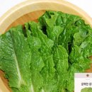 나만의 작은 상추