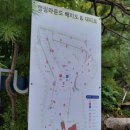 캠핑 라운드 | 부산근교캠핑장 양산 캠핑라운드 D1 사이트 후기