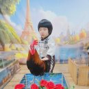 동물체험과 영화관람~ 이미지