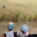 나비오리농원 이미지