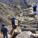 삼손농장 이미지