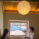 스테이더담 도율 이미지