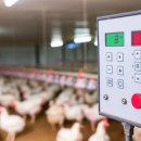 대신축산 이미지