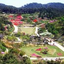 안면도자연휴양림 이미지