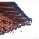 단양집민박 이미지