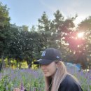 라벤더포차 이미지