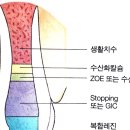 고림로 이미지
