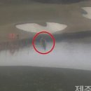 유쾌한 하녀 마리사 이미지