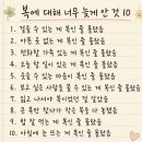 새힘찬한병원 | 전방십자인대 재건술 병원 반월상연골 파열 수술 후기 및 통증