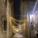 일가약국 | 스페인 바르셀로나 신혼여행 구엘저택 바르셀로나대성당 후기