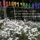 옥정호 구절초축제에 여러분을 초대합니다. 이미지