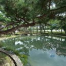 이교뒷들 이미지