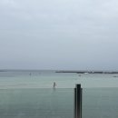 하와이안비치카페 | 제주도 동쪽 섭지코지 아쿠아플래넷 인근 뻥뚤린 바다뷰 커피 맛집 하와이안비치카페 후기