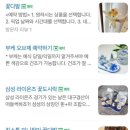 소소절절꽃이야기 이미지