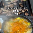 청와오리 이미지