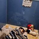 연세맘스키즈치과의원 | 어린이치과 충치 수면치료 후기