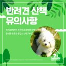 하샘펫푸드연구소 이미지