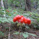 근혜농장 이미지