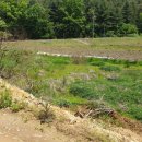 강청리농장 이미지