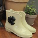 카멜리아플라워 이미지