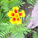 꽃들어린이집 이미지