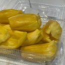 라이프기빙 | 11월 엄마랑 치앙마이 여행 4일차 | 가볼만한 곳 (반캉왓, 원님만, 기빙트리 마사지) 추천