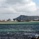 신양섭지코지해변 이미지