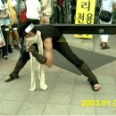 하이퀄 네이버블로그
