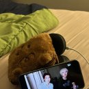 머지고래 | 호주워홀 D+7 EU어학원 브리즈번 첫 수업 후기