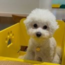 동물진료법인 포레스트 이미지