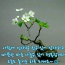 파비스애니원안양