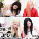 피피나인 이미지