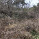 예스부동산중개주식회사 이미지