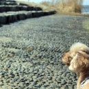 바람공원_R 이미지