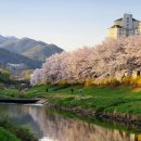 양재천 수변무대4 이미지