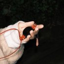 소파소굿(SoFarSoGood 이미지